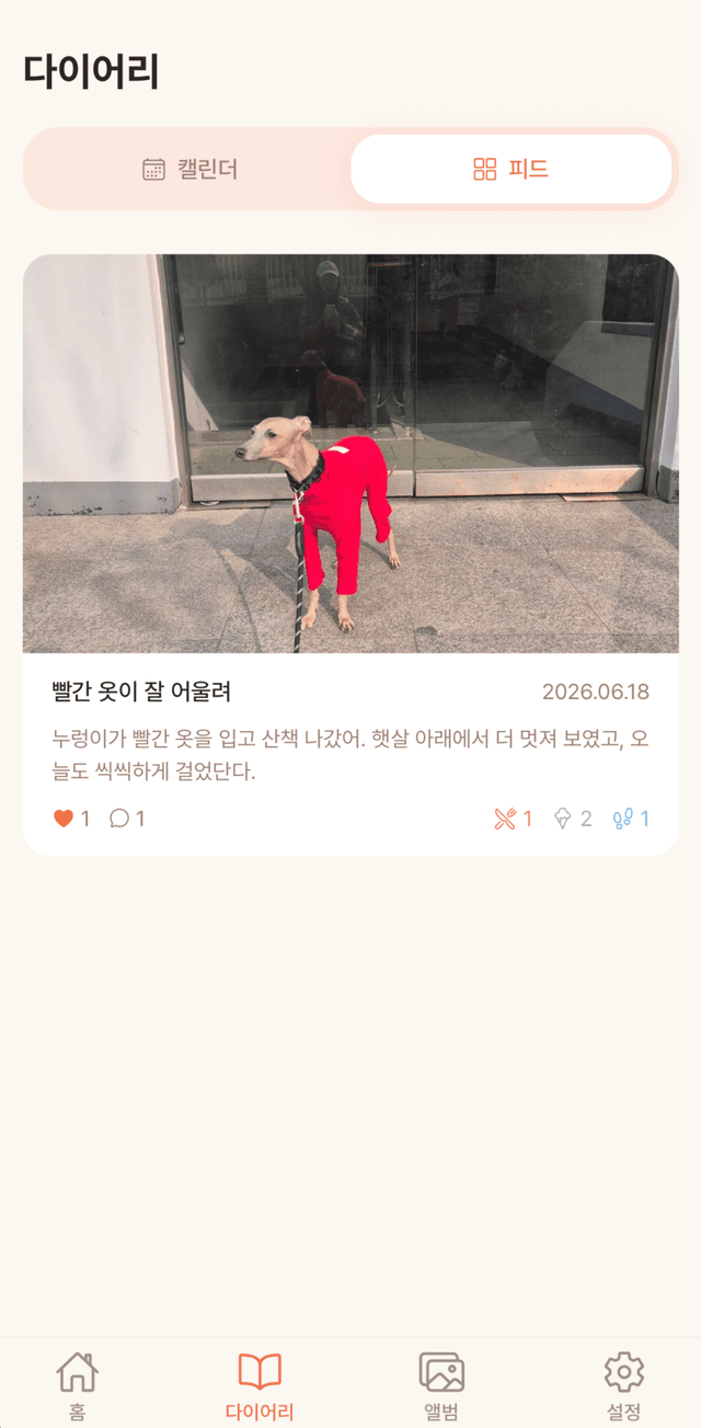 다이어리 - 피드